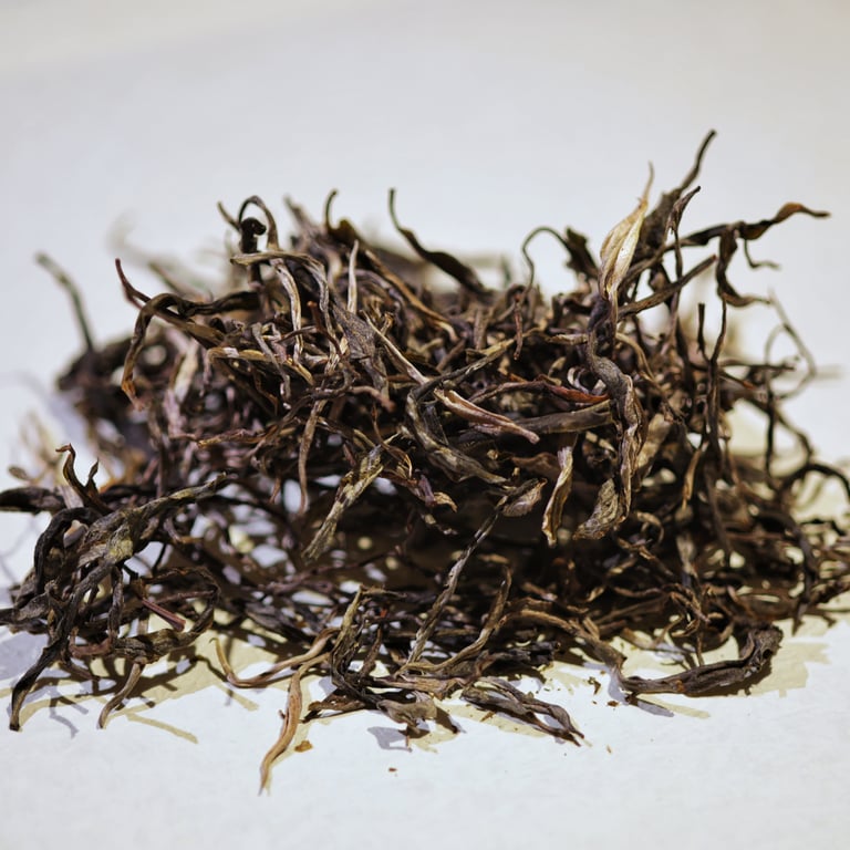 Phổ Nhĩ sống Lào Cai