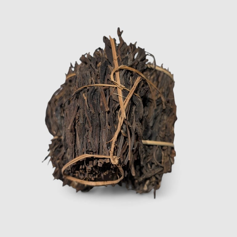 Phổ Nhĩ Chít Cổ Thụ