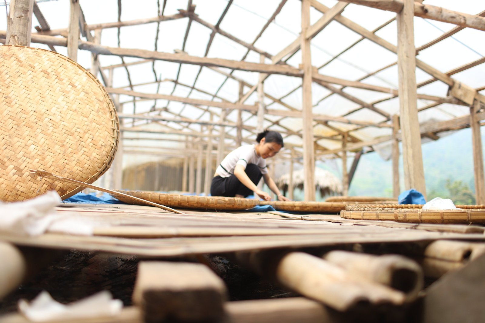 Cách pha trà cổ thụ đúng cách